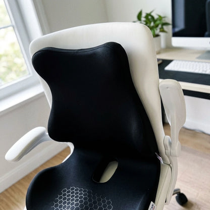 Seat Cushion with Back Support